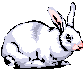 C:\Users\Osugi@Toshiko\AppData\Local\Microsoft\Windows\Temporary Internet Files\Content.IE5\FO1R2VP5\MCAN00647_0000[1].wmf
