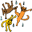 C:\Users\Osugi@Toshiko\AppData\Local\Microsoft\Windows\Temporary Internet Files\Content.IE5\FO1R2VP5\MC900036348[1].wmf